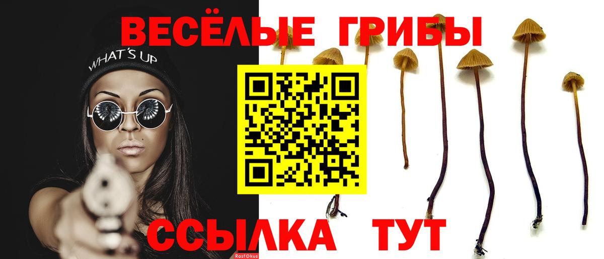 Соликамск  Псилоцибиновые грибы Magic Shrooms  Вход с VPN  Галлюциногенные грибы мухоморы 